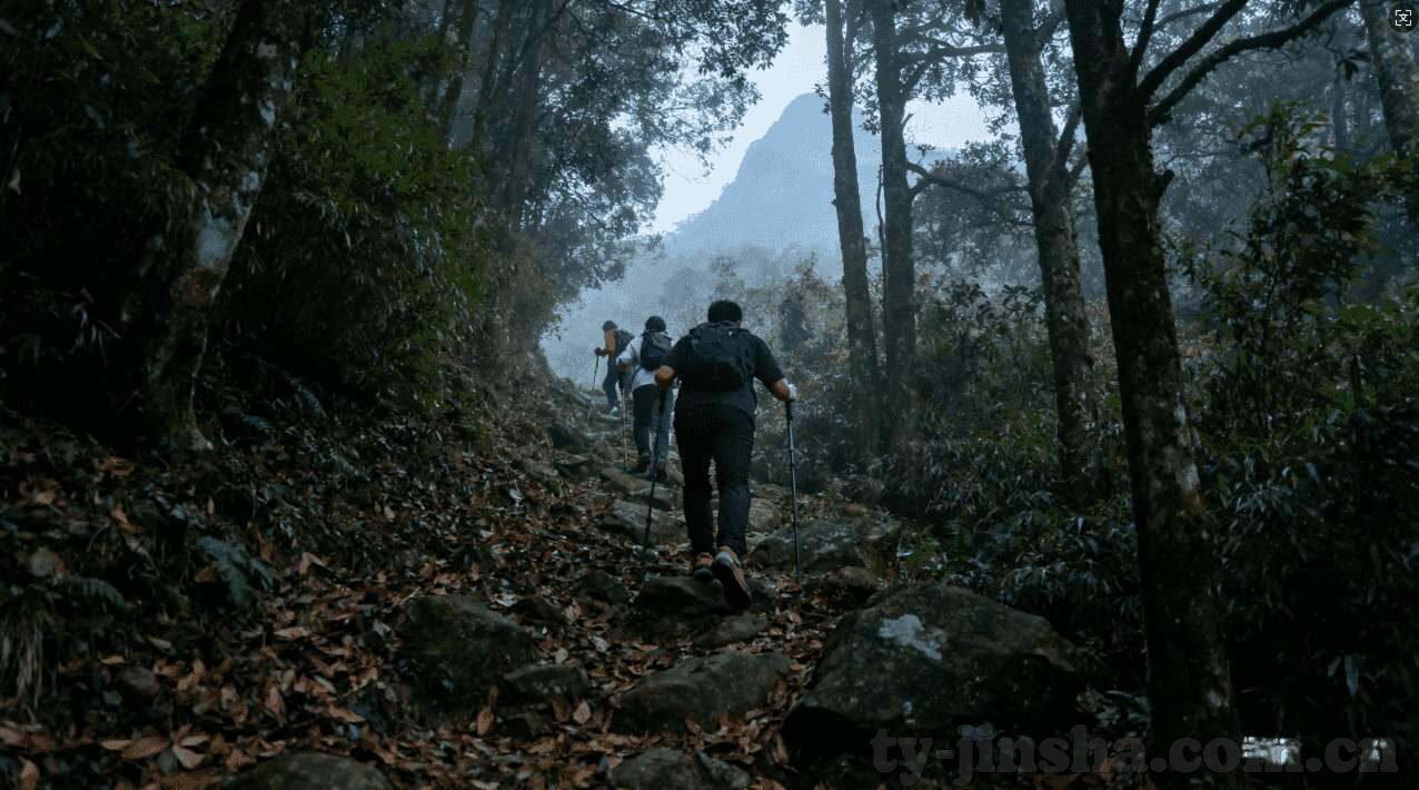 YY彩票-警惕YY彩票，揭开网络赌博的伪装面具